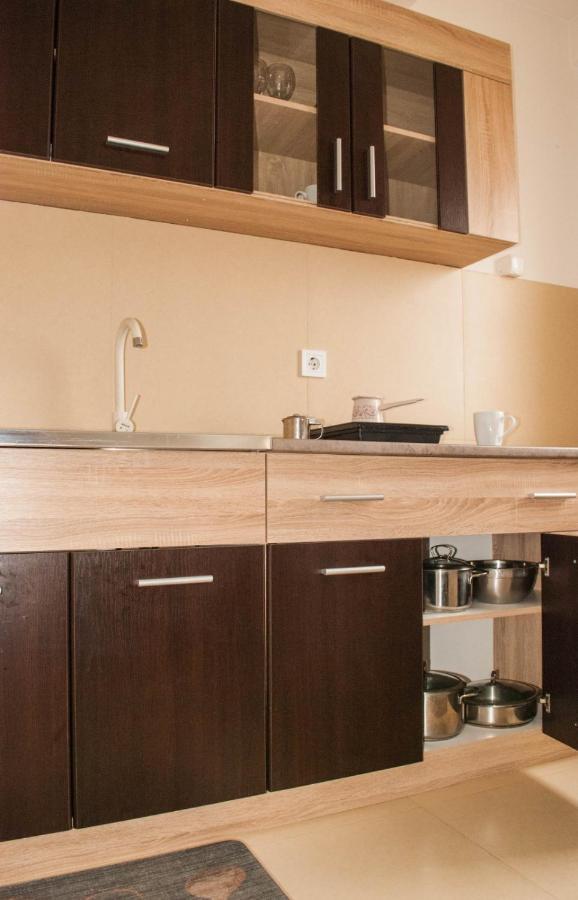 Apartman Soko Sokobanja Buitenkant foto